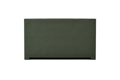 ABE1-NCT173