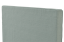 ARN3-SL157