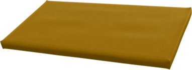 BAN1-RVM112