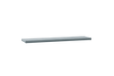 BAN2-LPV101