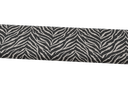 BAN2-RCZ101