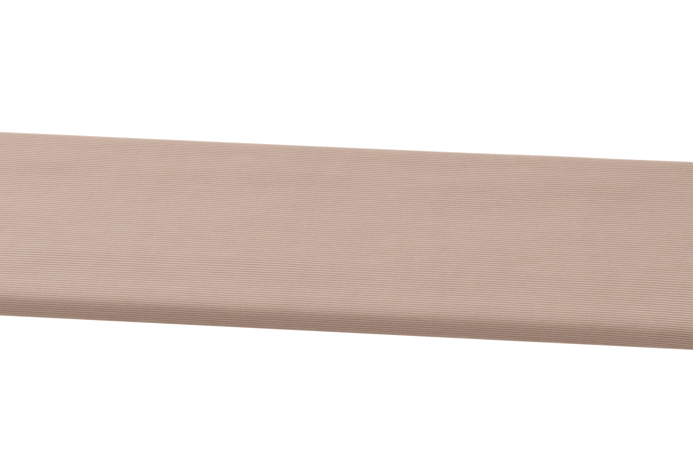 BAN3-RCD102