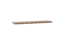 BAN3-TOL101