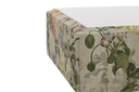 BED11S-50-DG4002