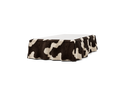 BED11W-50-R-CCC101