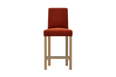 BER2-CVV101