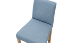 BER2-SL183