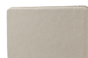 BOR4-AGL101
