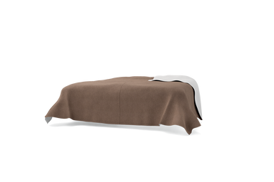 BSP260-CTW101
