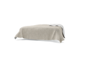 BSP260-GTW101
