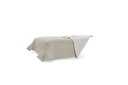 BSP260-GTW101