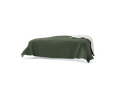 BSP260-NCT173