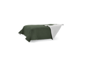 BSP260-NCT173