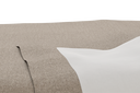BSP3-AGL102