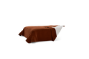 BSP3-RVM113