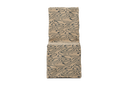 CHA2-C-PRC101