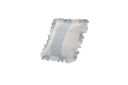 CUS2-X-CHL101