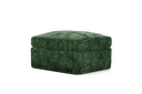 GRO55-RAV101
