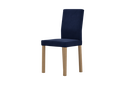KAT1-SL123