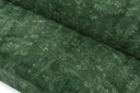 KLI2-RAV101