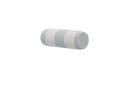MOJ1-CHL101