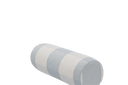 MOJ1-CHL101