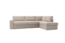 NEV31-RCD101