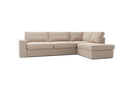 NEV31-RCD101