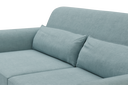 NIK1-BRL102
