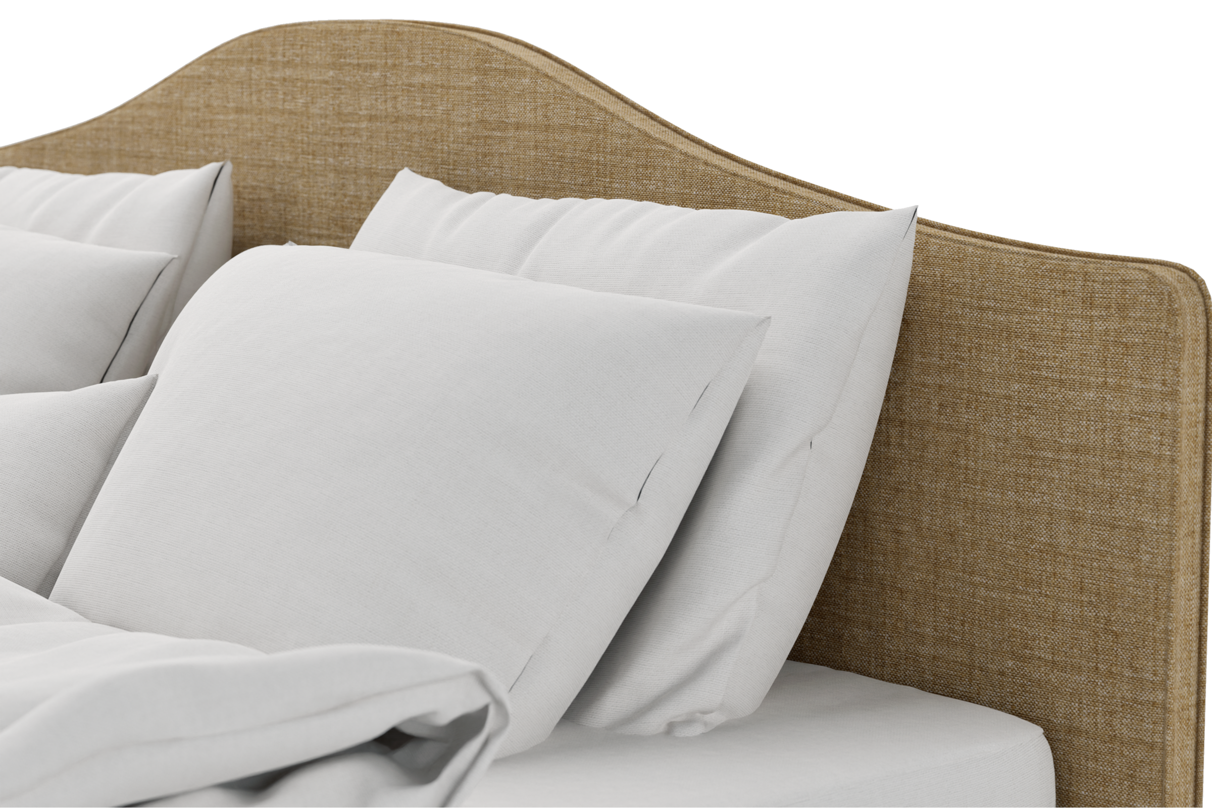RAM1-CMO102