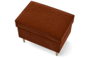 SMO5-RVM113