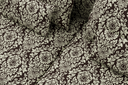 SOD11-JBD102