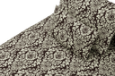 SOD6-M-JBD102