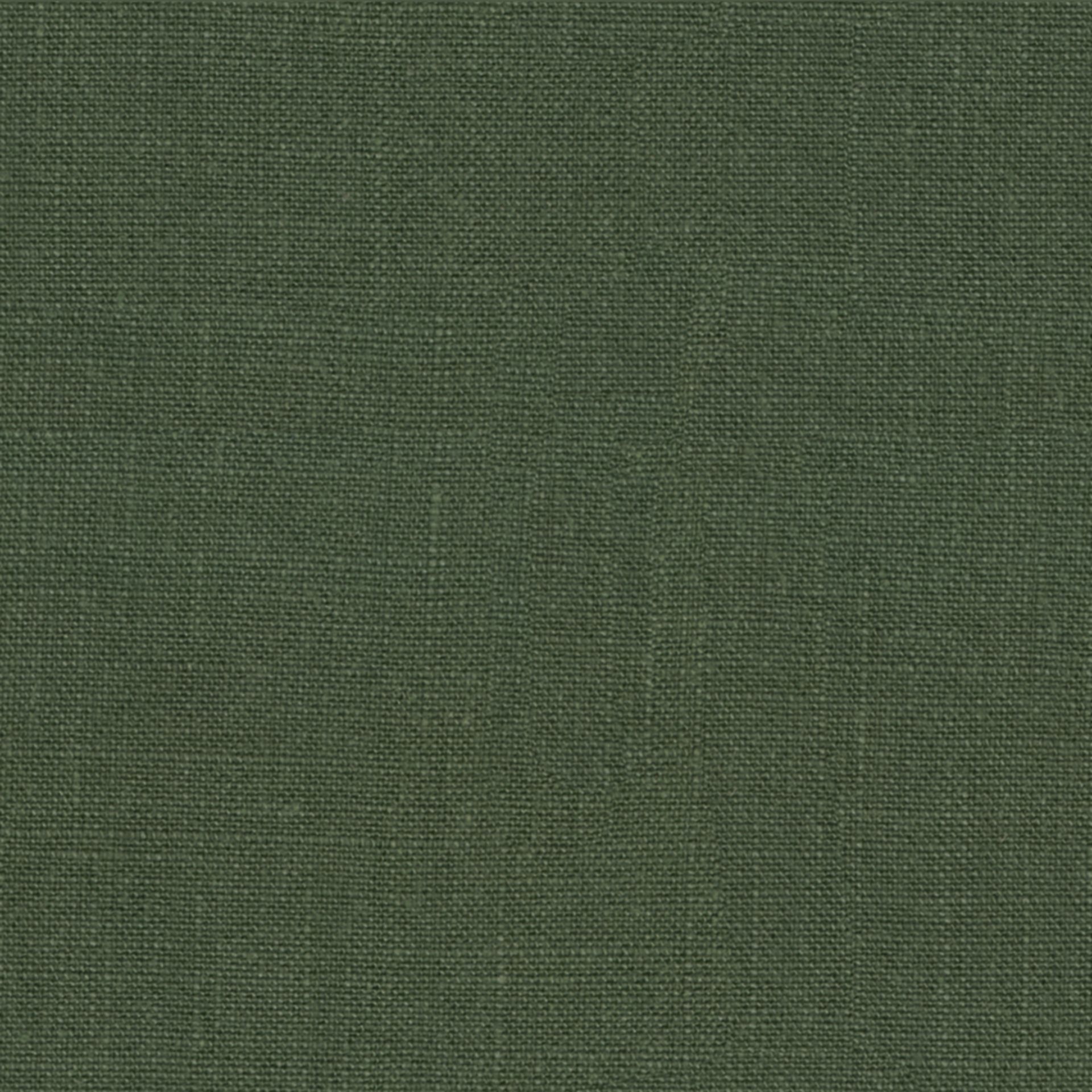 SWA1-BRL106