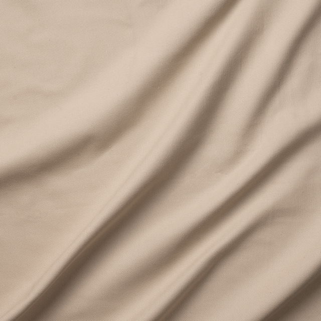 Fabric Sample 