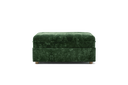 VAL19-RAV101
