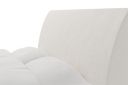 VAN1-S101